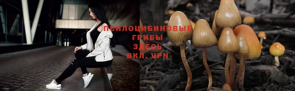 мяу мяу кристалл Саяногорск